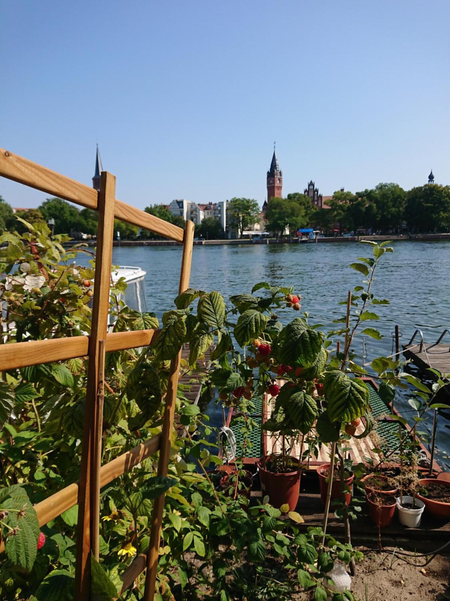 Ferienwohnung Dahme Berlin Am Wasser Buitenkant foto